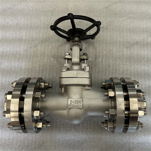 Hastelloy C276 Globe Valve, 2'' 300LB, N10276 Body, HC276 Trim, RF Ends