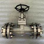 Hastelloy C276 Globe Valve, 2'' 300LB, N10276 Body, HC276 Trim, RF Ends