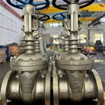 HIGH TEMPERATURE Heat-dissipating GATE VALVE, 8'' 300LB, ASTM A351 CF10 Body, ASTM A351 CF10 Trim, RF Ends