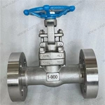 Integral Flange F316L Gate Valve, 1'' 900LB, ASTM A182 F316L Body, ASTM A182 F316L Trim, Flanged Ends