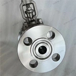 Integral Flange F316L Gate Valve, 1'' 900LB, ASTM A182 F316L Body, ASTM A182 F316L Trim, Flanged Ends