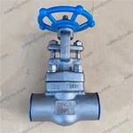 S310 Gate Valve, DN25 PN40, S310 body, S310 Trim, NPT Ends