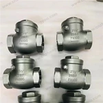 Screw Cover Check Valve, 2.5'' DN65 PN100, 2507 Body, 2507 Trim, NPT Ends