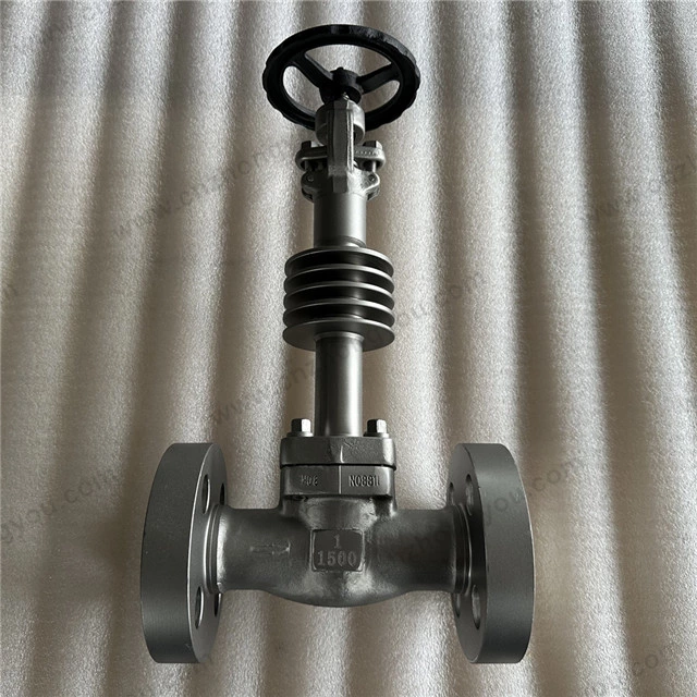 Superhigh Temperature UNS N08811 Gate Valve, 1'' 1500LB, N08811 Body, Incoloy 800H Trim, RF Ends