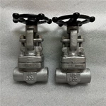 UNS N08020 Gate Valve, 0.5'' 800LB, N08020 Body, Nickel Alloy F20 Trim, SW Ends