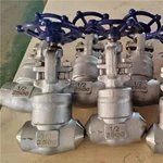 WB Welded Bonnet Globe Valve, 0.5'' 2500LB, ASTM A182 F316Ti Body, ASTM A182 F316Ti Trim, BW Ends