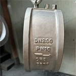 World Famous Brand KSB Wafer Check Valve, DN200 PN10, ASTM A351 CF8 Body, SS304 Trim