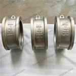 ZUV Dual Plate Check Valve, 10'' 150LB, HC276 Body, HC276 Trim